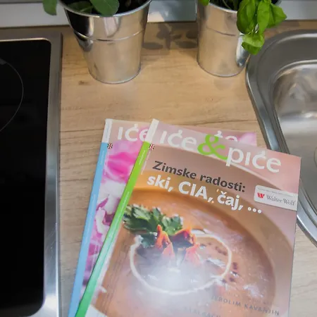 公寓 诺夫克尔科浮公寓 *