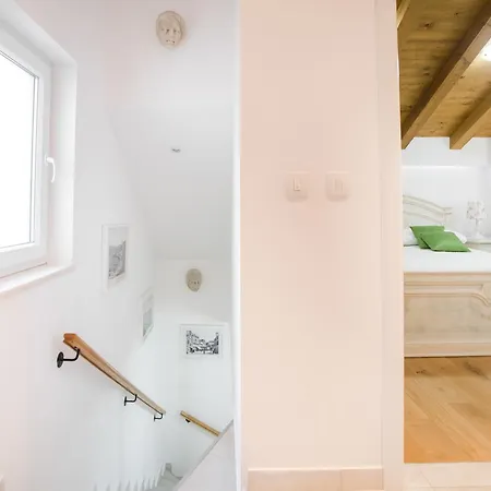 诺夫克尔科浮公寓 希贝尼克