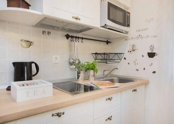 诺夫克尔科浮公寓 公寓 *