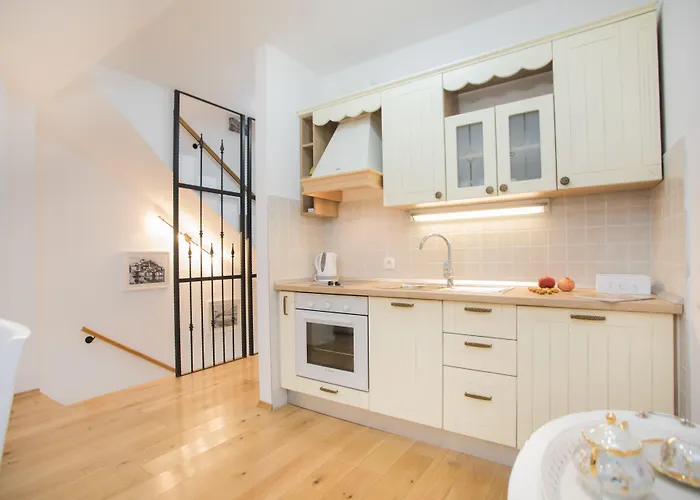 诺夫克尔科浮公寓 *