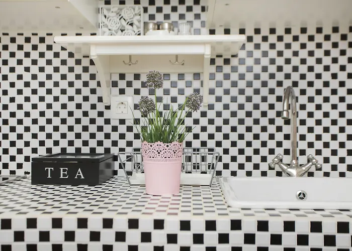 公寓 诺夫克尔科浮公寓 *