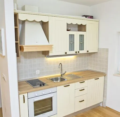 公寓 诺夫克尔科浮公寓 *