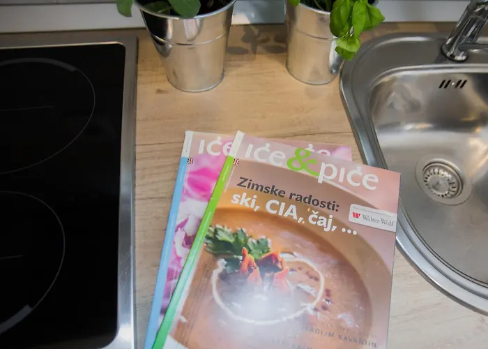 公寓 诺夫克尔科浮公寓 *