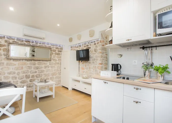 公寓 诺夫克尔科浮公寓 *